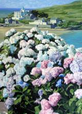 Hydrangias, Bigbury on Sea 